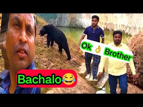 Nandankanan Zoological Park Bhubaneswar Odisha 🐯 | Full Tour Vlog | Aashik Vlog Official