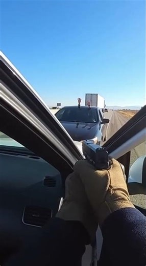 Traffic stop almost goes badly #bodycam #dashcam #crash #police #cats #cute #dogs #funny #laugh