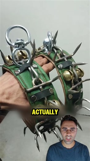 2.6K views | Why This Spiked Collar Saves Dogs From Wolves  #fblifestyle | Wrecker Reels | Facebook