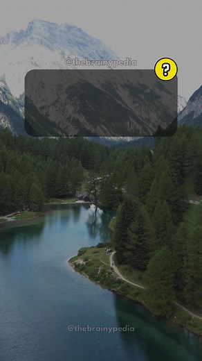 355K views · 10K reactions | Biology Trivia Quiz Game. Follow for more fun and interesting quizzes like this. . . #thebrainypedia #quiz #quizvideos #QuizTime #TriviaTime #triviaquiz #quizgame #quizzes #DidYouKnow #moreyouknow #didyouknowfacts #biology | Brainypedia | Facebook