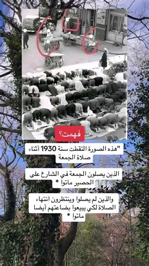 معلومات مفيده