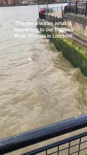 River Thames Pollution: Is London's Icon in Danger?