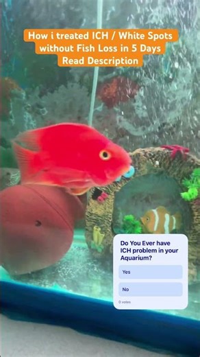 How I Treated White Spot (Ich) Disease in My Aquarium Without Losing Any Fish 🐠 #aquatech #aquahub