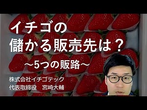 イチゴ農家の儲かる販売先は？5つの販路（販売方法）の必要条件とメリット・デメリット【生のいちごの果実編】