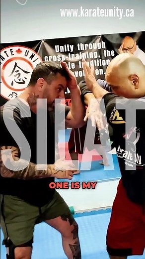 Combat Cousins: Exploring Silat & Karate's Functional Similarities #martialarts #karate #silat