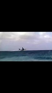 Ethiopian Airlines Flight 961 was a scheduled international flight serving the route Addis Ababa–Nairobi–Brazzaville–Lagos–Abidjan. On 23 November 1996, the aircraft serving the flight, a Boeing 767-200ER, was hijacked en route from Addis Ababa to Nairobi by three Ethiopians seeking asylum in Australia.Mr Leul Abate, the pilot, tried to persuade the hijacker to land at a nearby airport (like Zanzibar or Nairobi) but they said no. Mr Leul Abate said that if he continued, his plane would crash int