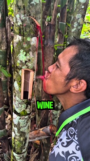 🍷🎋 How This Man Extracts Wine from Inside Bamboo!