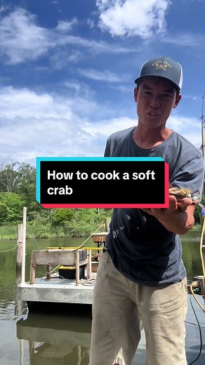 How to Cook a Delicious Soft Crab to Satisfy Your Seafood Cravings