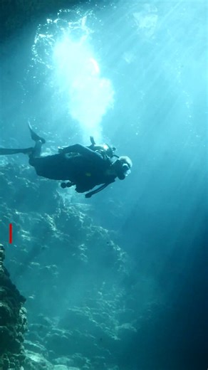 This was either group suicide or murder. I've been diving for 30 years. Rescue and deep dive certified. These divers were effectively dead the moment they went in the water. At 150 feet, with recreational gear and without special gas mix, you're already dead. I'm an absolute madman adrenaline junkie. My hard floor is 120 feet. There was no possible way they were coming back, whether they panicked or not. That dive plan was never going to end with any of them alive.