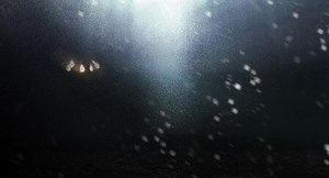 Twilight Requiem on Display through Nov. 18