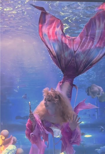 Jiyasi Barbie Mermaid Tail Set - A Sweet Addition!