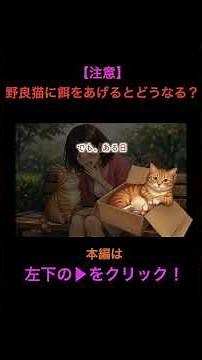 【猫好きは知っておきたい】野良猫に餌を与えるとどうなる？