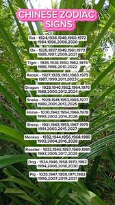 803K views · 3K reactions | Chinese zodiac signs #zodiac #zodiacsigns #astrology #horoscope #birthdate #birthday #reelsviralシ #fbreels #reelsfypシ #reelsvideo #reelschallenge #fyp #knowledge #tips | Beng Stories | Facebook