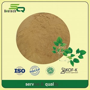 [Hot Item] Natural Epimedium Extract with Icariin Content of 10%-98% Osteoporosis Relief