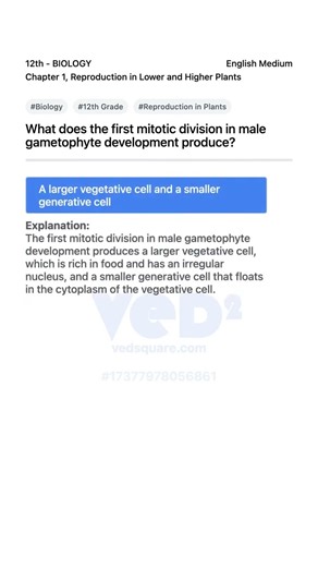 Male Gametophyte Development First Mitotic Division Explained