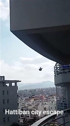 pigeon net installation