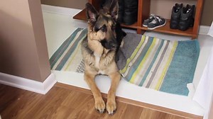 45K views · 636 shares | Teamwork is important! Watch one of our short videos produced with DMTC students. | Deaf Missions | Facebook