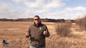 5.1K views · 83 reactions | The snow goose migration is delayed in the western U.S., but things are heating up in eastern Canada. Find out where birds are concentrated in your flyway with Delta’s April Migration Report. | Delta Waterfowl Foundation | Facebook