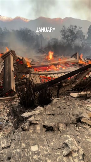 2025 started off prettt rough but there were some bright moments #2025recap #2025unwrapped