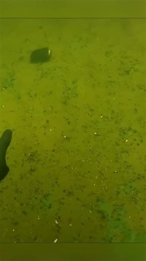 Underwater Treasure Scuba Diving Adventure