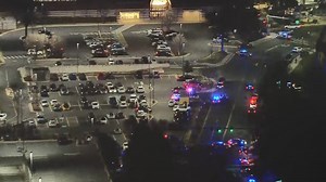 Man shot, killed by police outside Tysons Corner Mall identified