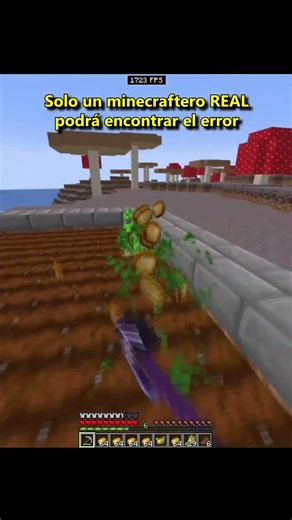 ENCUENTRA EL ERROR 4 #minecraft