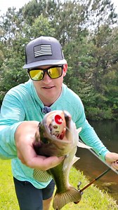 17K views · 461 reactions | Pick my lures day 1  What should I use next? #day1 #fishing #bassfishing #frog #topwaterfishing #challenge | Kickin Their Bass TV | Facebook
