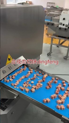 #Frozen Meat Chopping Machine #Slicing Machine #Zhengou Chopping Machine #Meat Processing Equipment