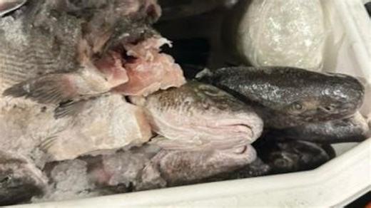 Headlines from ABC News Live