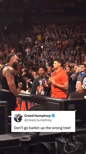 2.3M views · 10K reactions | NO ONE messes with our QB  ( @trey_smith) | Kansas City Chiefs on CBS Sports | Facebook