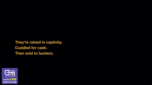 震撼你心的动物保护公益广告