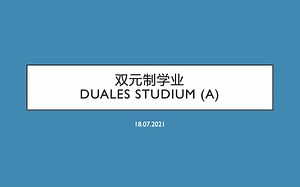 德国双元制学制大学 学业(Duales Studium) 初认识(A)
