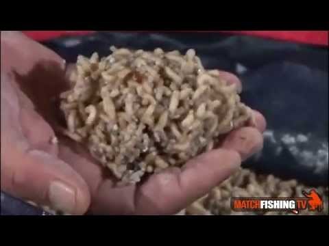 PESCA: Come INCOLLARE I BIGATTINI