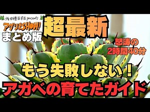 【2時間40分越え】最新アガベの育て方を農家のプロが本気で解説 アグリまSHOWまとめ