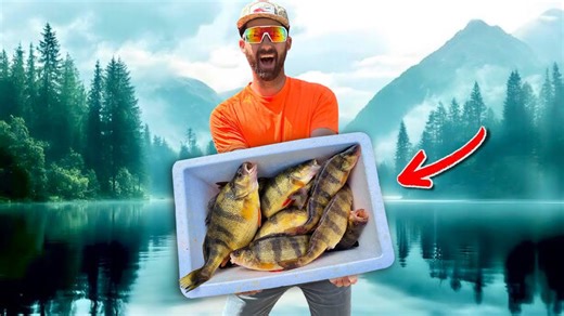 First time cooking yellow perch, trout and smallmouth