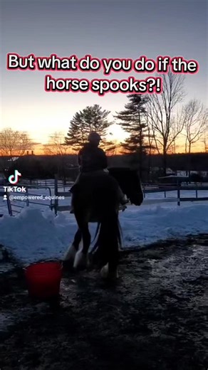 As clicker trainers we are asked this all the time. The thing is, as clicker trained horses, these horses deal with new things in a different way. They don't live in a world of avoiding aversives and predicting potential threats. They live in a world of curiosity, exploration, and all things new might be fun! They become optimistic and eager, and playful. So even this new rider can help her sort out her feelings about this potential spook. #horserescue #clydesdale #clickertraining #positivereinf