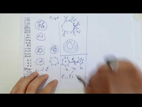 COURS 12 PHYSIQUE 2 USTHB Conducteurs en équilibre