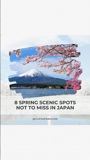 Spring in Japan is absolutely breathtaking!
