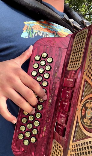 Clases Personalizadas de Acordeón con Ramón Ayala