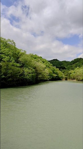 【宝塚市】兵庫県立宝塚西谷の森公園 縦 #2【兵庫県】