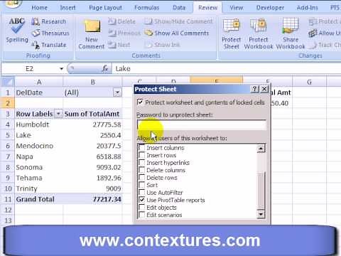 Allow Excel Pivot Table on Protected Sheet