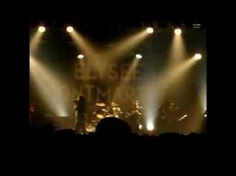 The Gladiators Stick a Bush