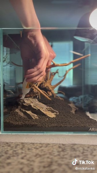 PART ONE: Hardscaping #aquarium #fish #fishtok #bettafish #fishtank #aquascape #aquascaping #bettatok #fypシ