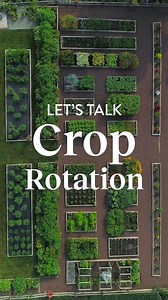 🧑‍🌾 Are you beginning to plan and map out your 2024 garden? First thing’s first, let’s talk crop rotation. Crop rotation is the simple practice of rotating your garden crops to improve soil health, replenish and enhance the nutrients already in the soil and last, to resist pests and weeds. All crops contain different nutrients and can develop different pests and diseases. For example, when you plant corn, the crop will pull a lot of nitrogen from the soil. The following season, you will want t