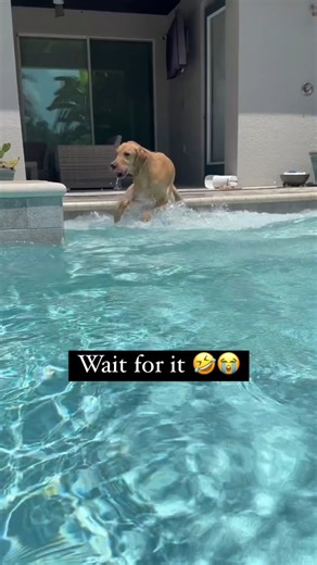 Hustlyhq on Instagram: "Junior Software Engineer – Backend | Axelerant 🚀 Axelerant is hiring a Junior Backend Software Engineer for candidates who love building scalable backend systems and working with modern tech. Role: Junior Software Engineer – Backend Skills needed: – Backend development in Python or Go – Strong understanding of REST APIs & HTTP – Experience with SQL / PostgreSQL – Basic knowledge of unit testing – Comfortable using Git & pull requests Who can apply? – Freshers / early-car