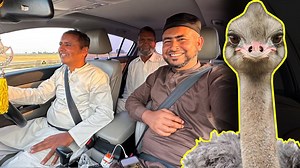 86K views · 4.5K reactions | Ostrich ki Talash main | Mudassar Saddique Vlogs | Facebook