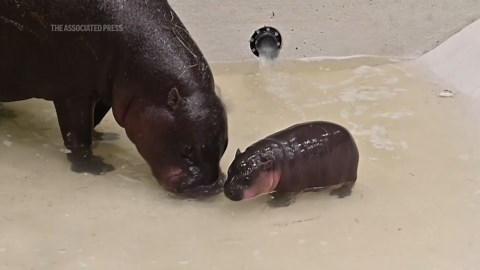 The top 5 energy drinks that are actually healthier for you, ranked