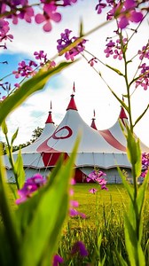 4.4K views · 87 reactions | Circus World on Reels | Facebook