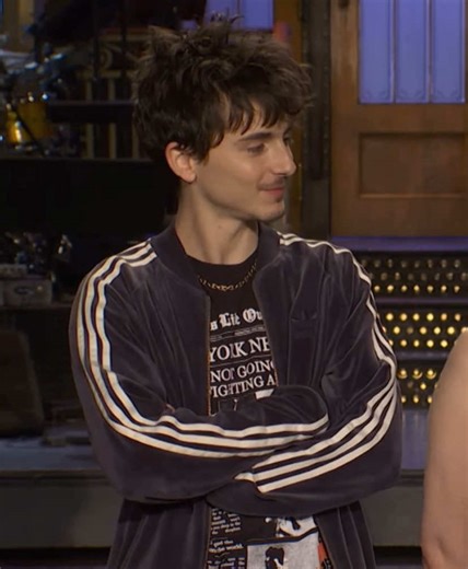 Timothée Chalamet Hair Styles and Edits