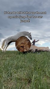 1M views · 5.6K reactions | If you look closely you will see a camera on the backside of the jump to capture her from underneath as she jumps. The cameras worth you might ask? $140,000 . Not going tho lie this shot made me nervous 藍. But Piper the star she is nailed it on her first jump, this required her to jump the jump at a very specific spot. Getting closer to getting to see the final project. #horsegirl | Amy Bowers | Facebook